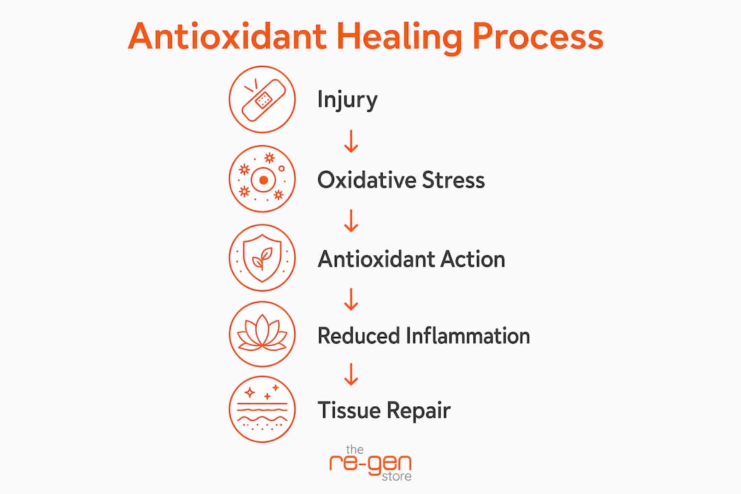 Infographic showing antioxidant healing stages