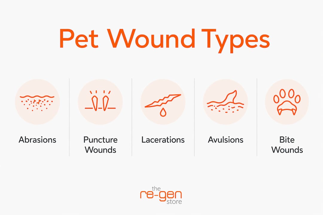 Infographic illustrating types of pet wounds