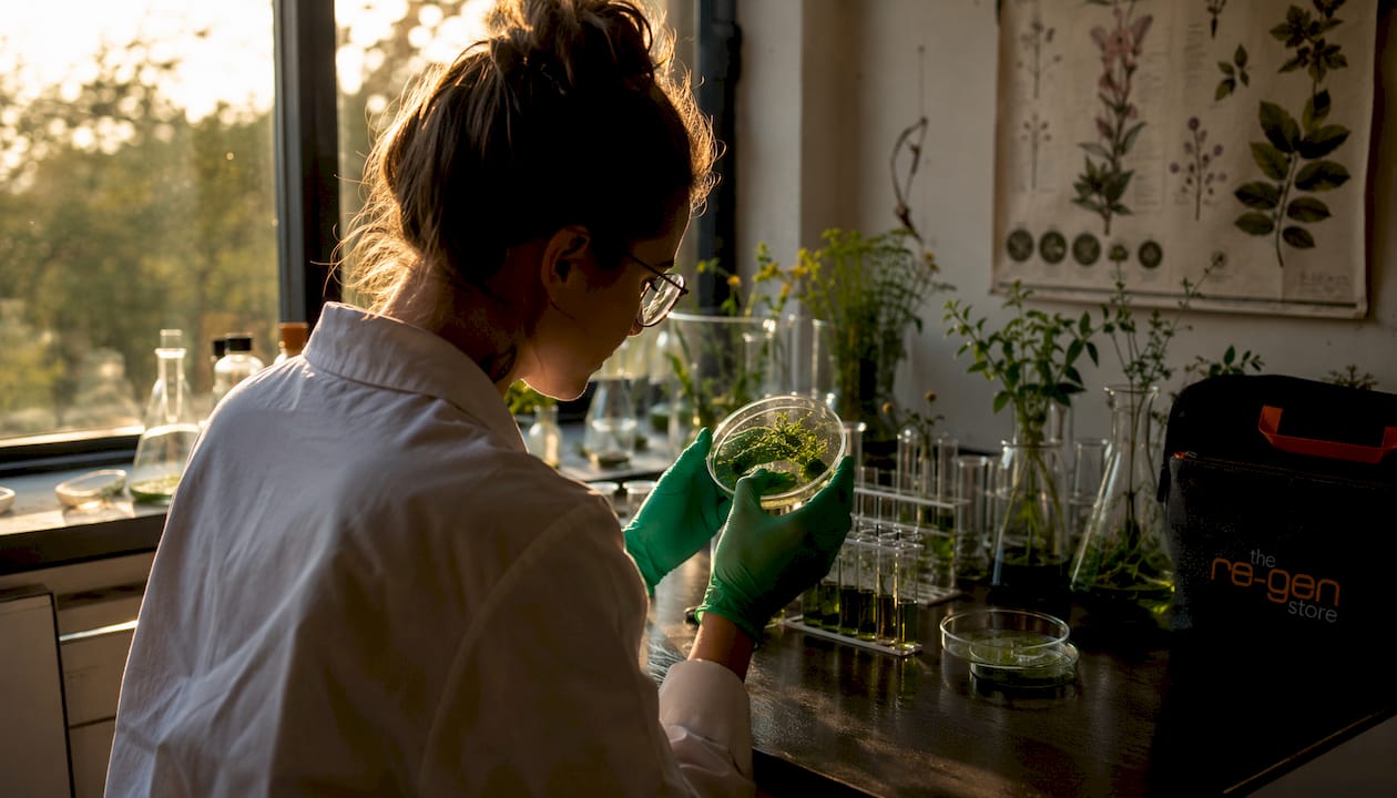 Scientist examining botanical extracts in lab