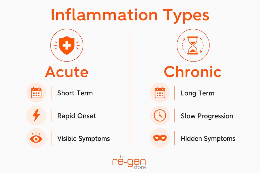 Infographic comparing acute and chronic inflammation