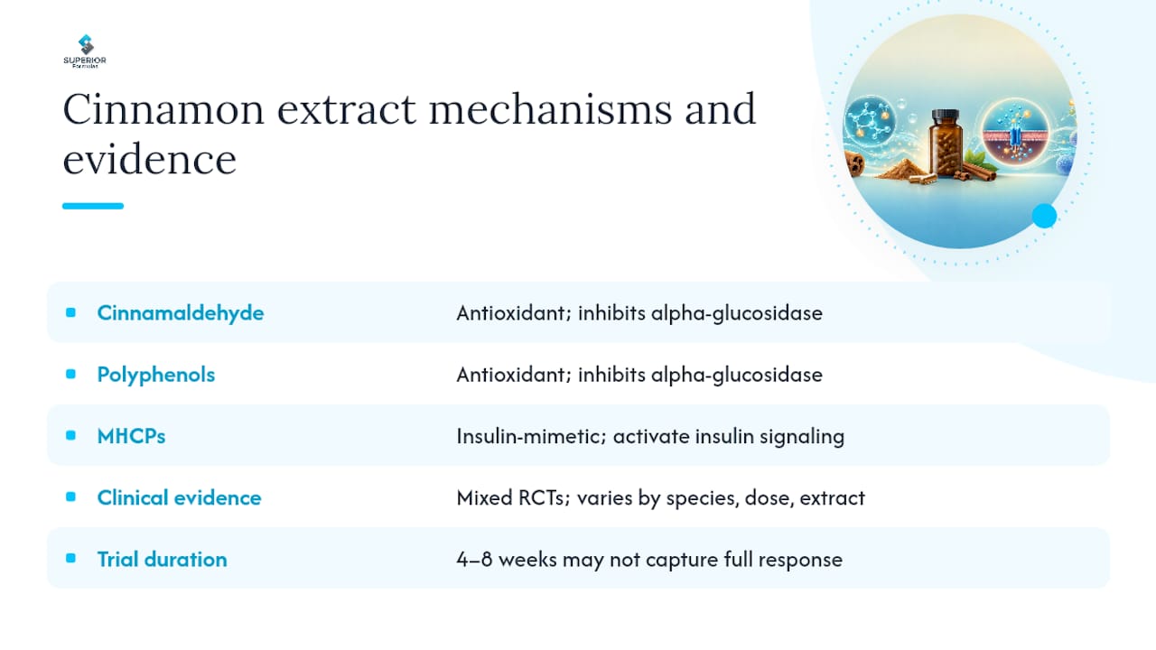 What does the research actually say about cinnamon extract benefits? — overview diagram