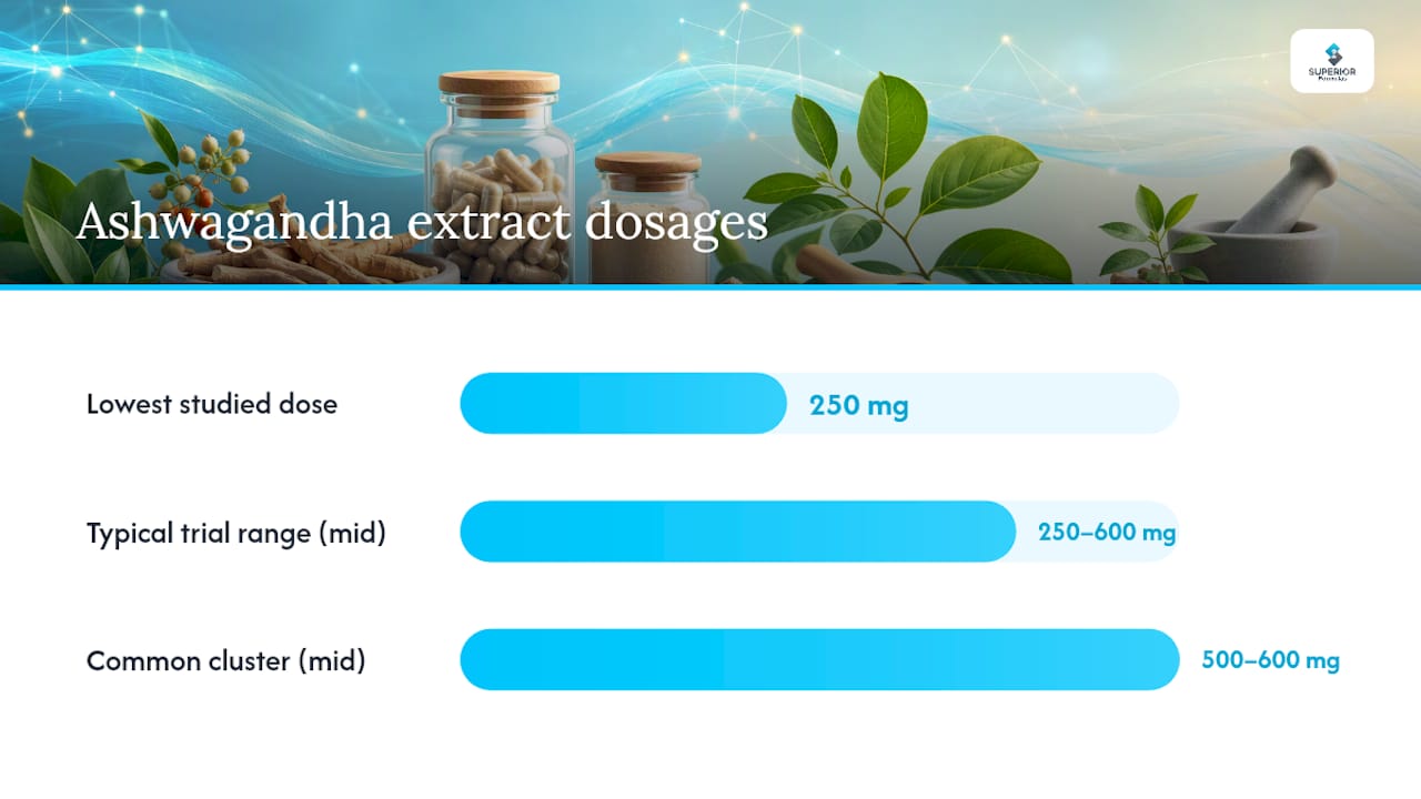 Ashwagandha Dosage: How to Read Extract Labels and Standardization — overview diagram