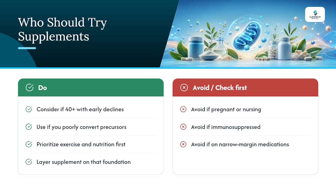 Who Should Try Mitophagy Supplements, and Who Should Wait? — overview diagram