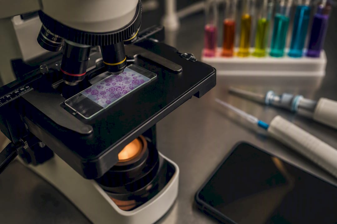 Microscope slide with cellular metabolic study setup