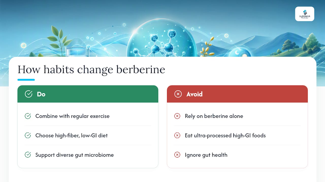 How Much Do Diet and Exercise Change Berberine's Effects? — overview diagram