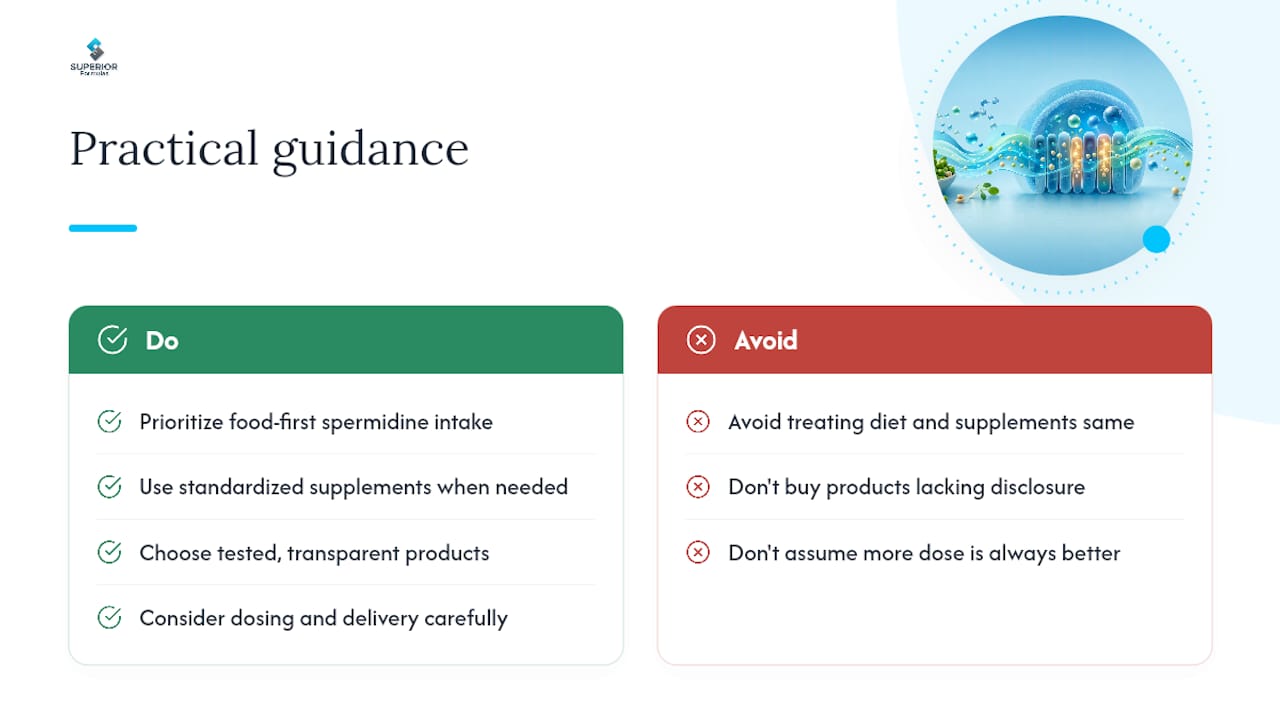 Where the Conventional Advice on Spermidine Falls Short — overview diagram