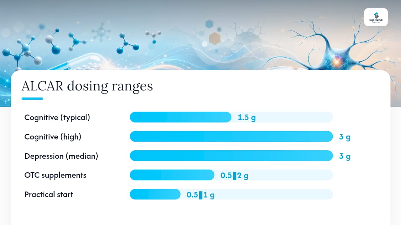 Dosing, Formulations, and Bioavailability — overview diagram