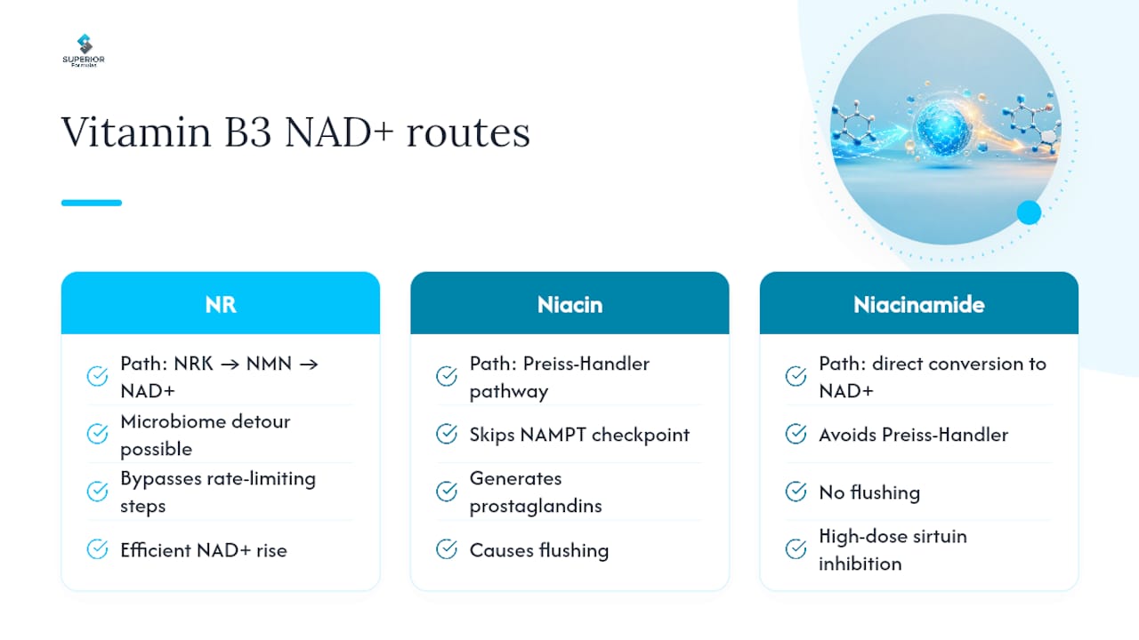 Comparison of niacin NR and niacinamide pathways