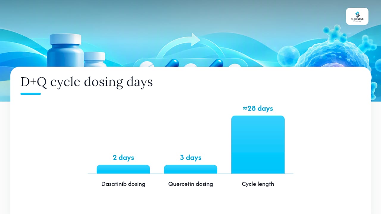 Dasatinib Quercetin Dosing Protocols and Safety Monitoring — overview diagram