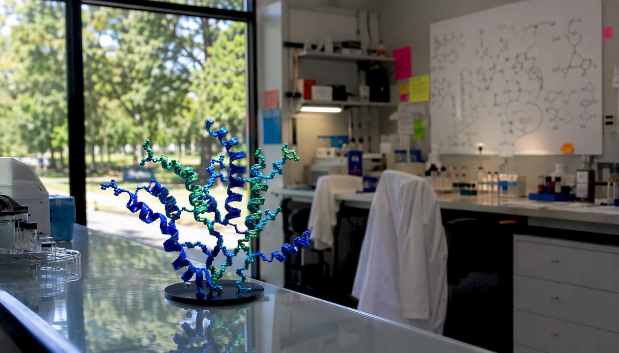 3D peptide molecular model on office table