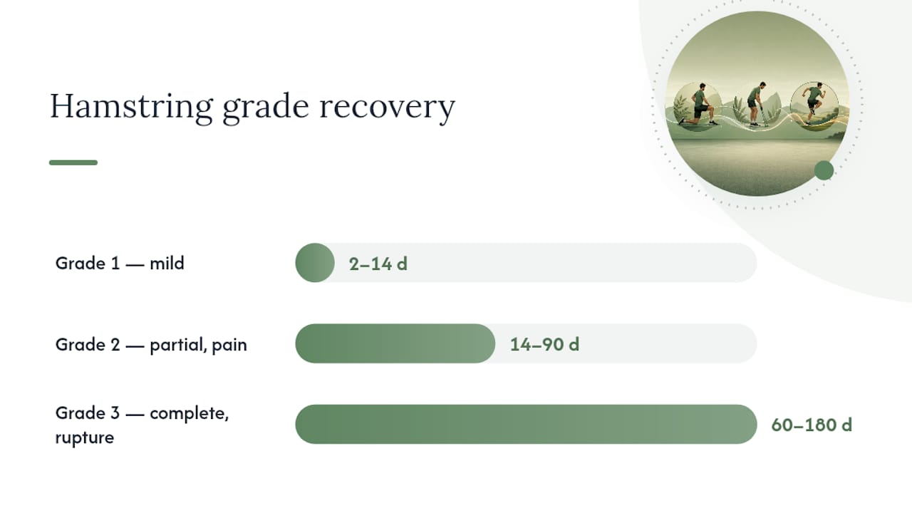 Diagram of three grades of hamstring strain with symptoms and recovery