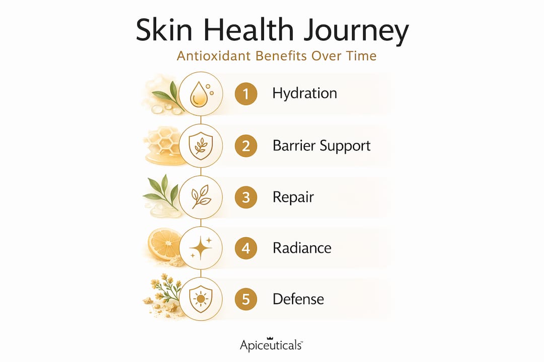 Infographic of antioxidant benefits timeline steps