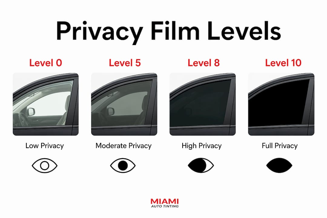Infographic showing privacy film level rankings