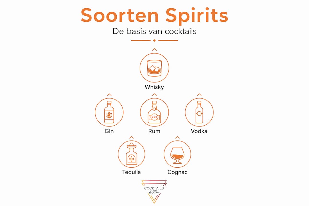Overzichtelijke infographic geeft de rangorde van verschillende soorten sterke dranken weer