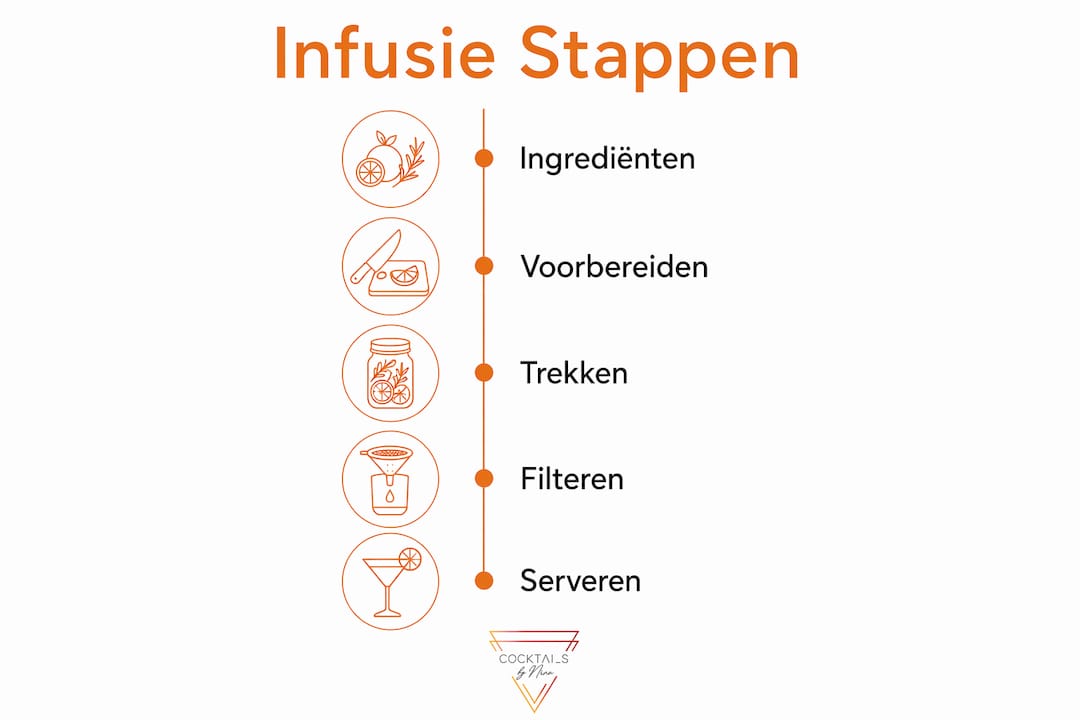 Overzichtelijke infographic: zo maak je stap voor stap zelf een infusie