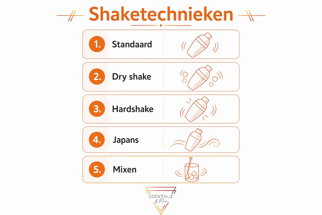 Overzichtelijke infographic met de belangrijkste shaketechnieken op een rij