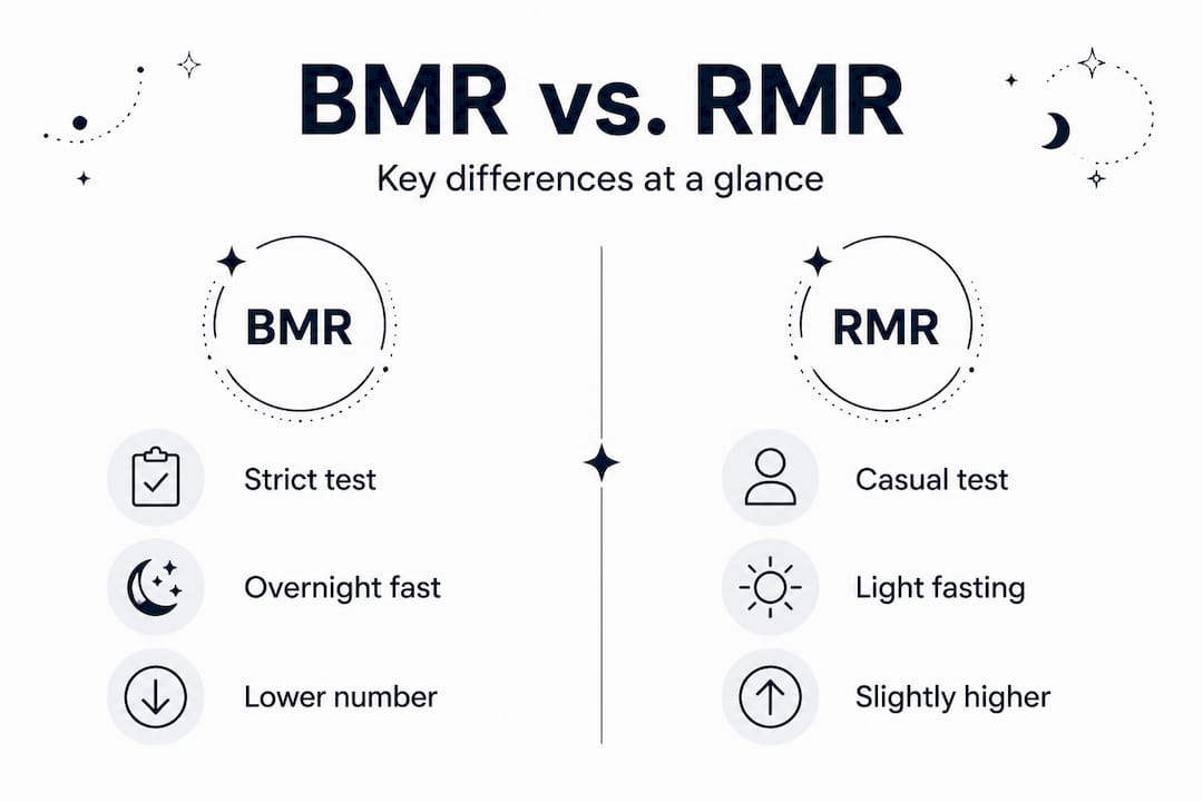 Infographic comparing BMR and RMR features