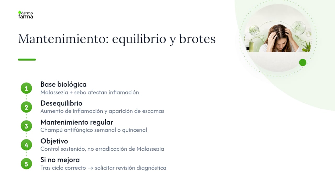 Esquema sobre el control y cuidado de la dermatitis seborreica