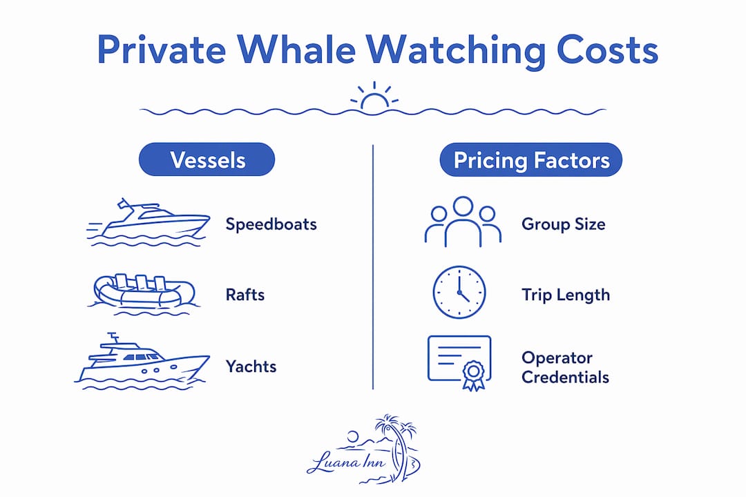 Infographic comparing vessel types and pricing factors