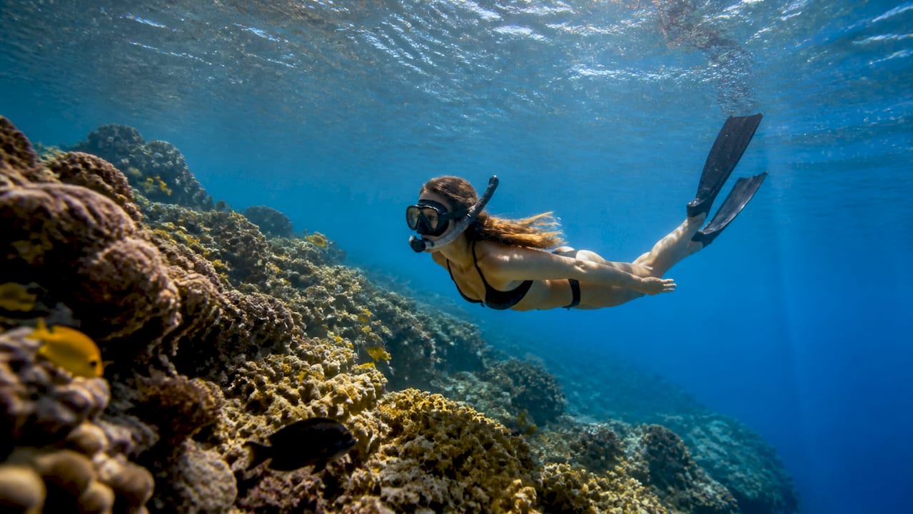 Snorkeler neutrally buoyant above coral reef