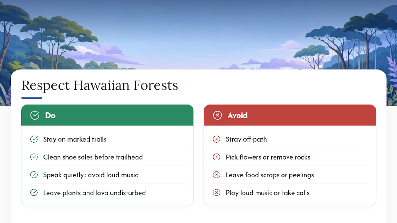 Five principles for respectful forest bathing