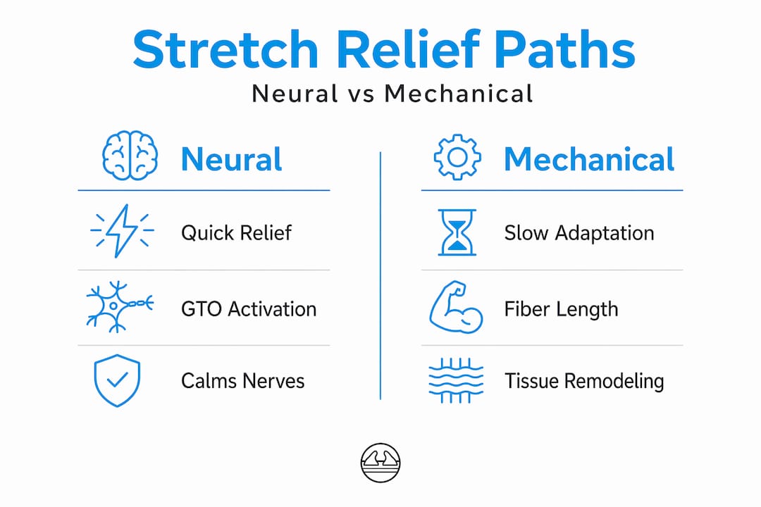 1778508551805 Infographic Comparing Neural And Mechanical Relief Infographic comparing neural and mechanical relief