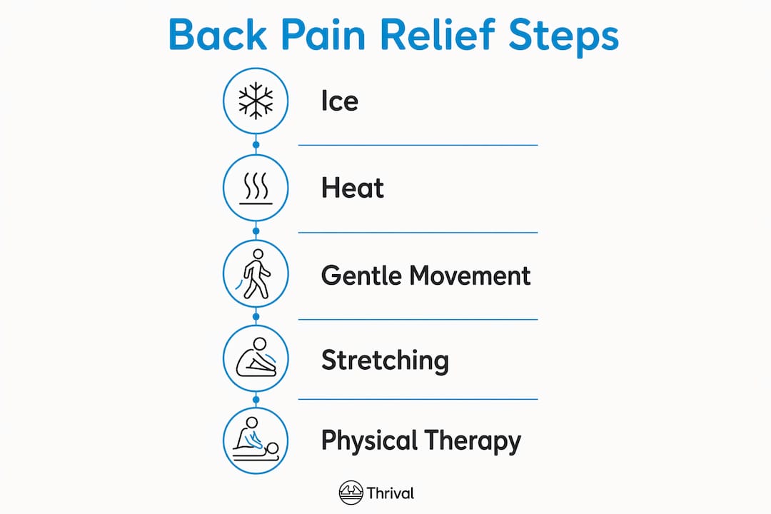 1780465195216 Infographic Illustrating Steps For Back Pain Relief Infographic illustrating steps for back pain relief