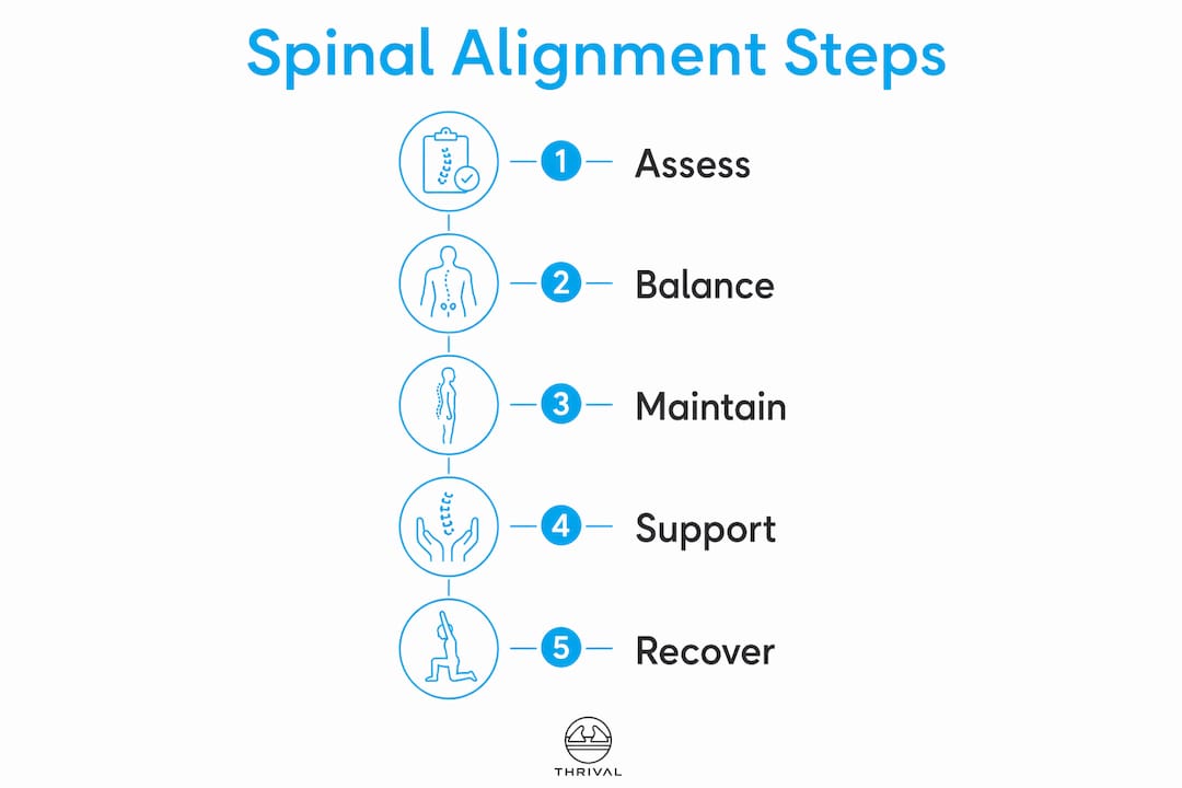 1781326128267 Infographic Illustrating Spinal Alignment Steps Infographic illustrating spinal alignment steps