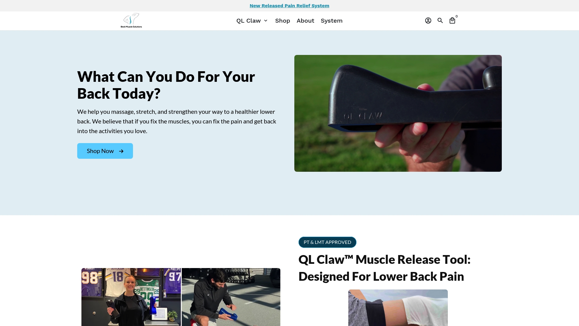 https://backmusclesolutions.com