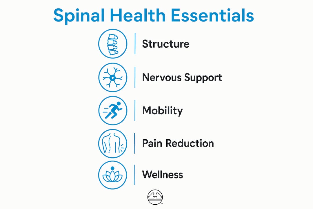 1784488200414 Infographic Showing Key Aspects Of Spinal Health Infographic showing key aspects of spinal health