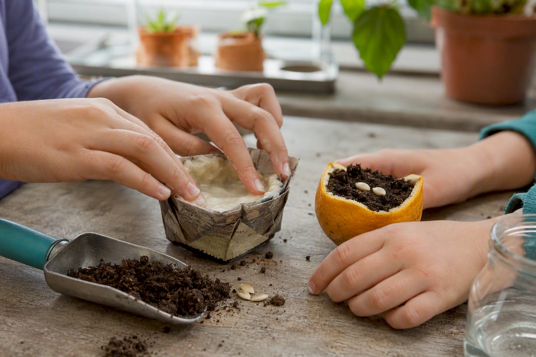 Hands shaping a biodegradable seed starter