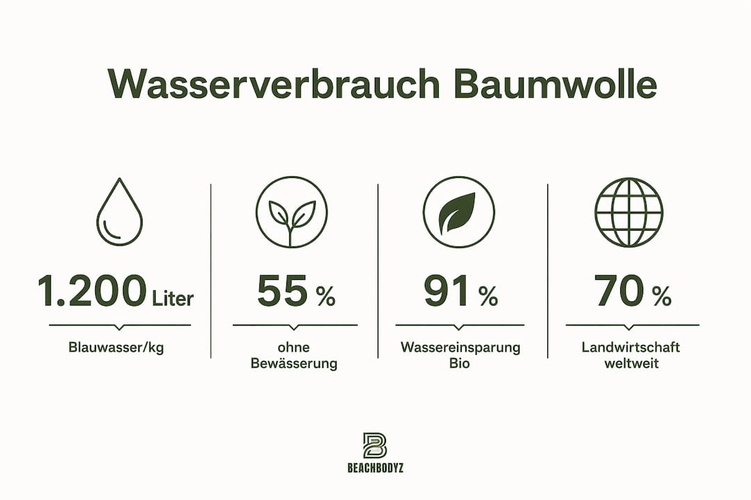 Eine anschauliche Infografik liefert spannende Zahlen zum Wasserverbrauch bei der Produktion von Baumwolle.