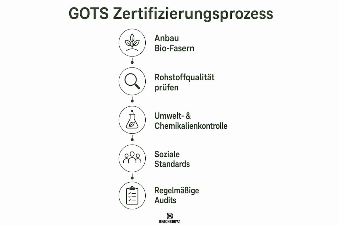 Übersicht: So läuft die GOTS-Zertifizierung Schritt für Schritt ab