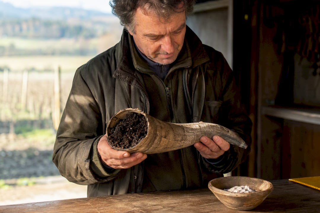 Biodynamic preparations beside vineyard tools