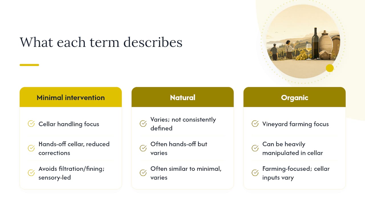 Comparison of organic natural minimal intervention wine
