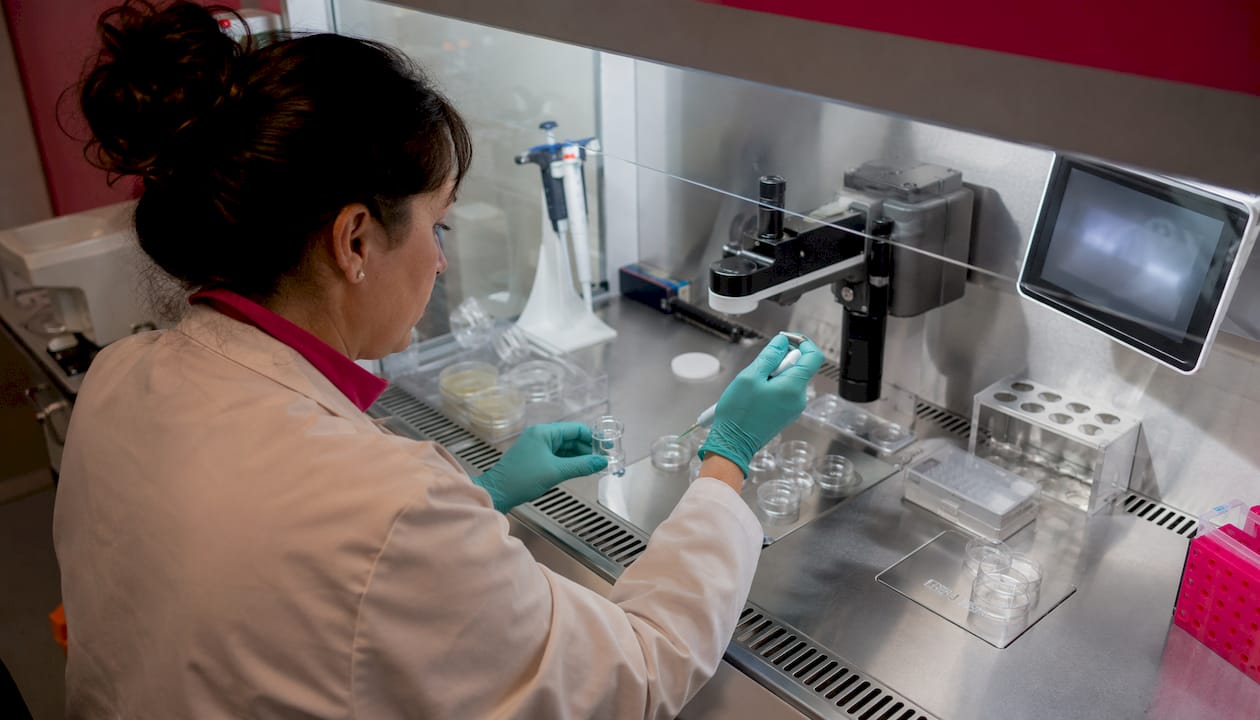 Lab technician handling eggs in fertility clinic