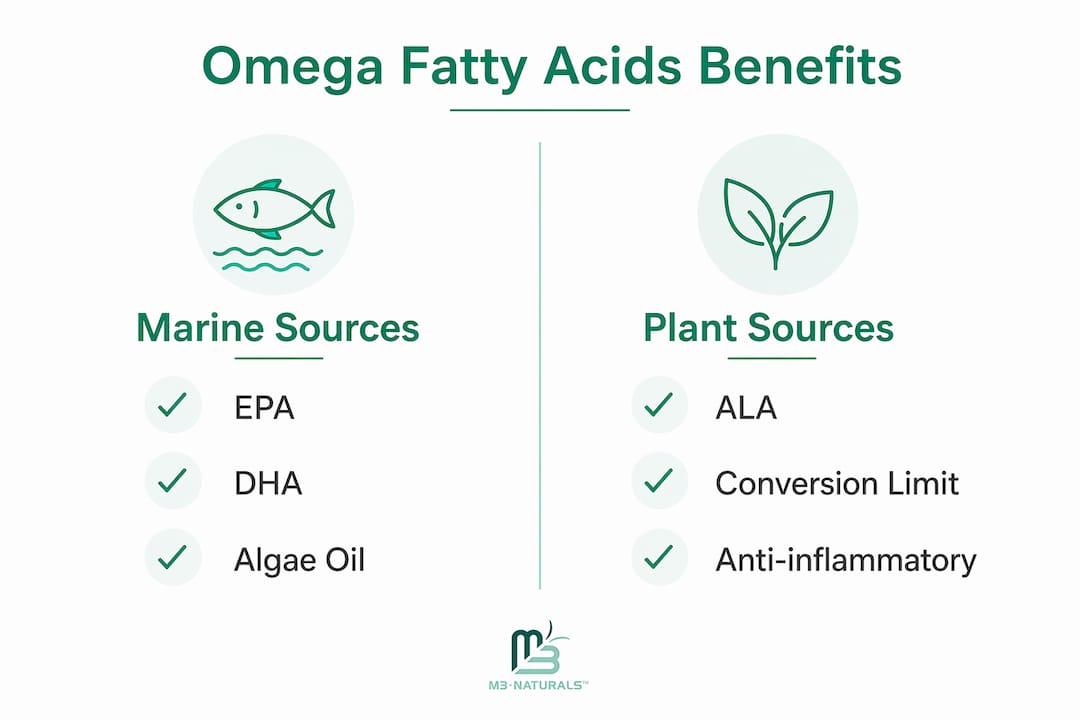 Infographic comparing marine and plant-based omega fatty acids benefits for skin
