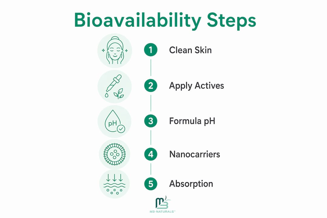 Infographic showing steps of skincare bioavailability