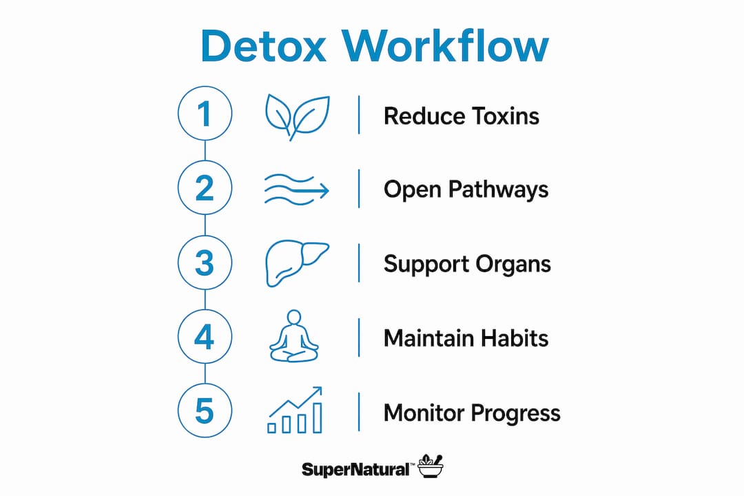 Infographic showing natural detox workflow steps