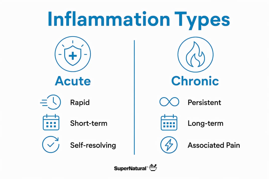 Infographic comparing acute and chronic inflammation