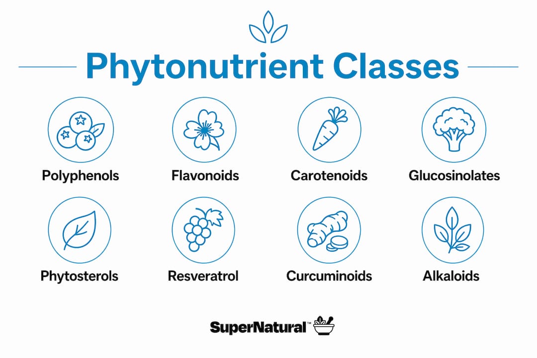 Infographic showing key phytonutrient classes in hierarchy format