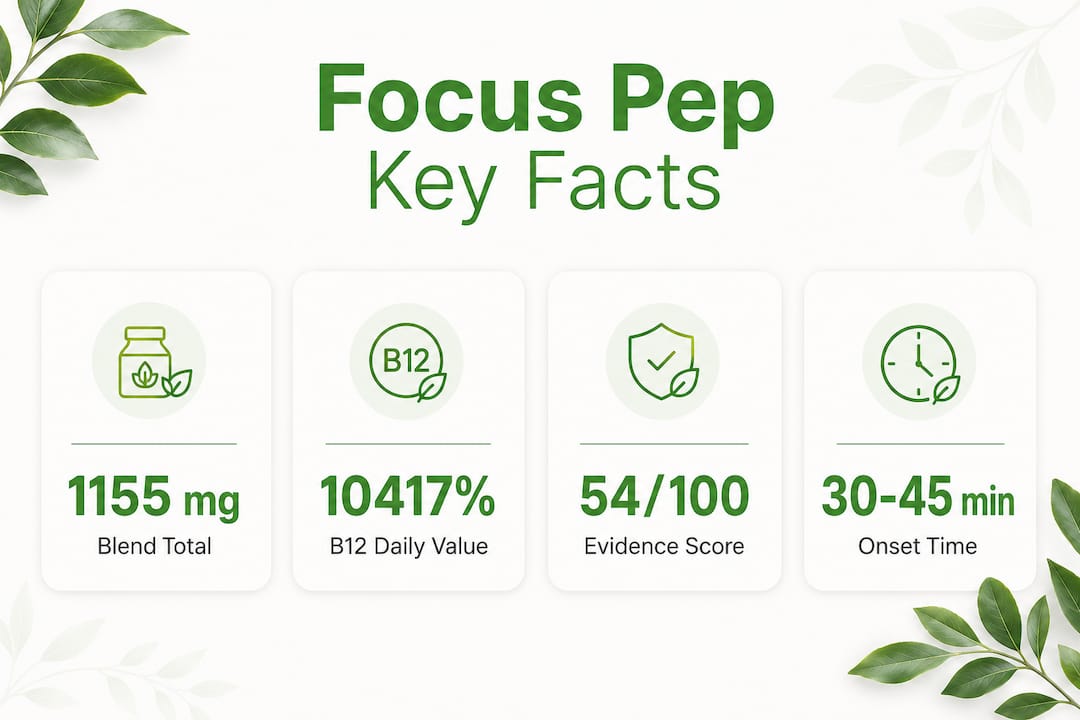 Infographic showing Focus Pep key facts and stats