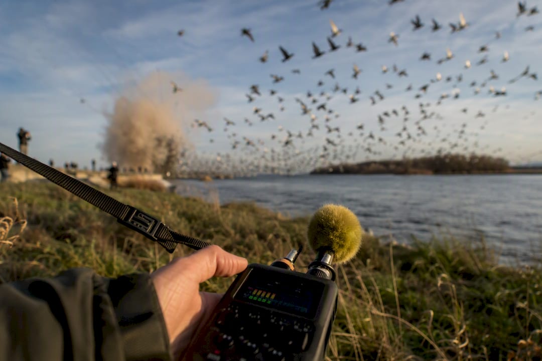 Recordist capturing an unpredictable outdoor sound