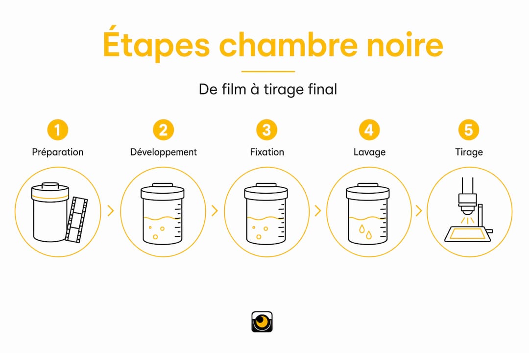 Infographie : les différentes étapes du développement argentique