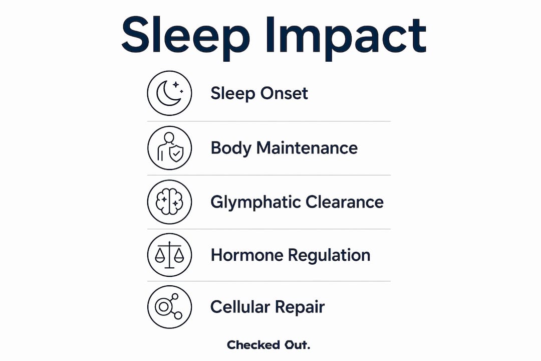 Infographic showing biological stages of sleep affecting longevity