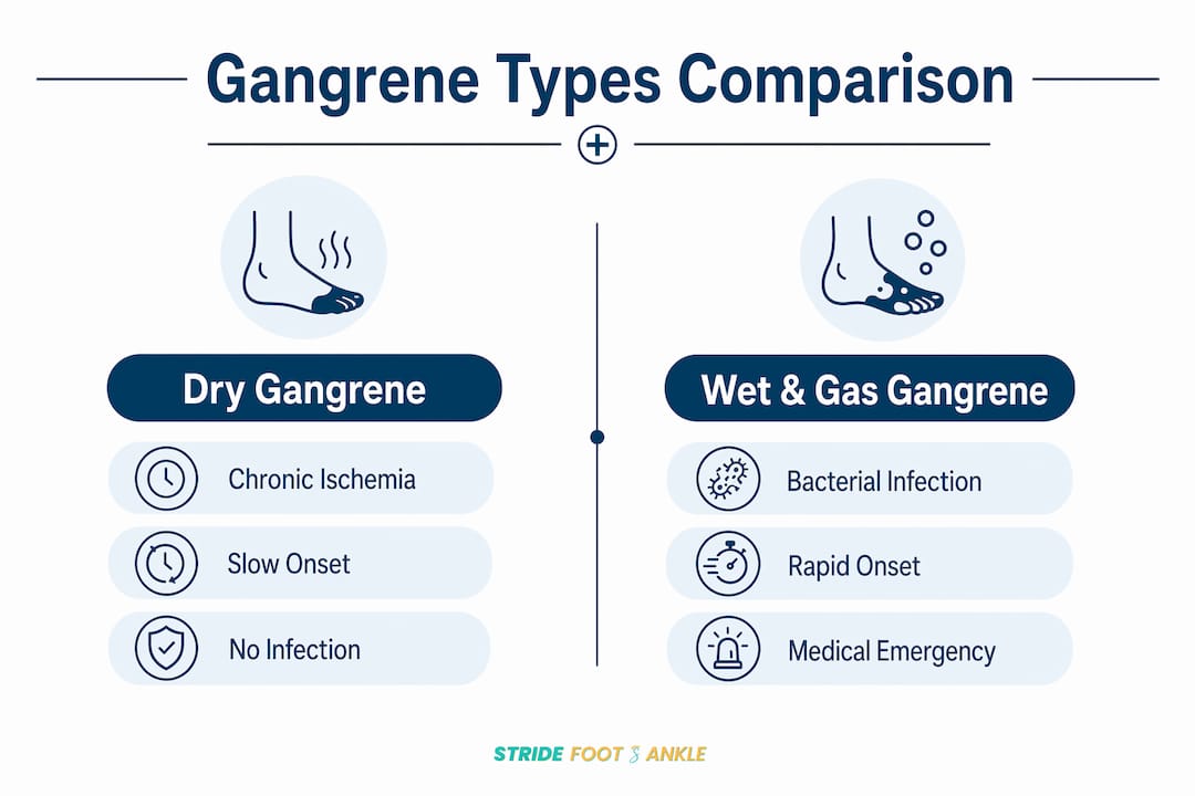 Infographic comparing dry gangrene versus wet and gas gangrene