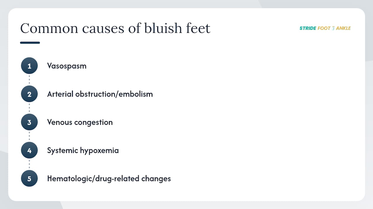 Diagram categorizing causes of bluish foot discoloration