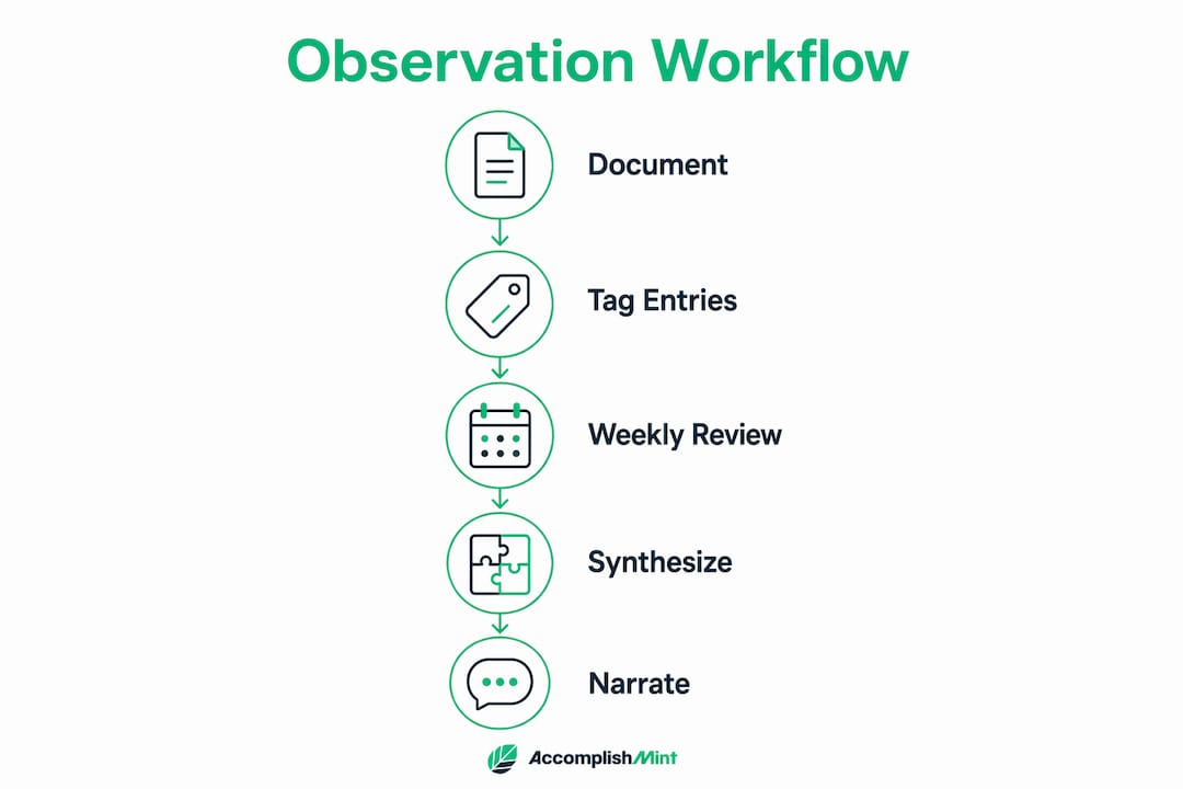 Infographic showing observation workflow steps
