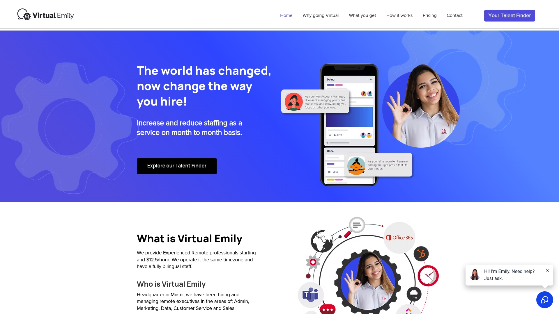 https://virtualemilystaffing.com