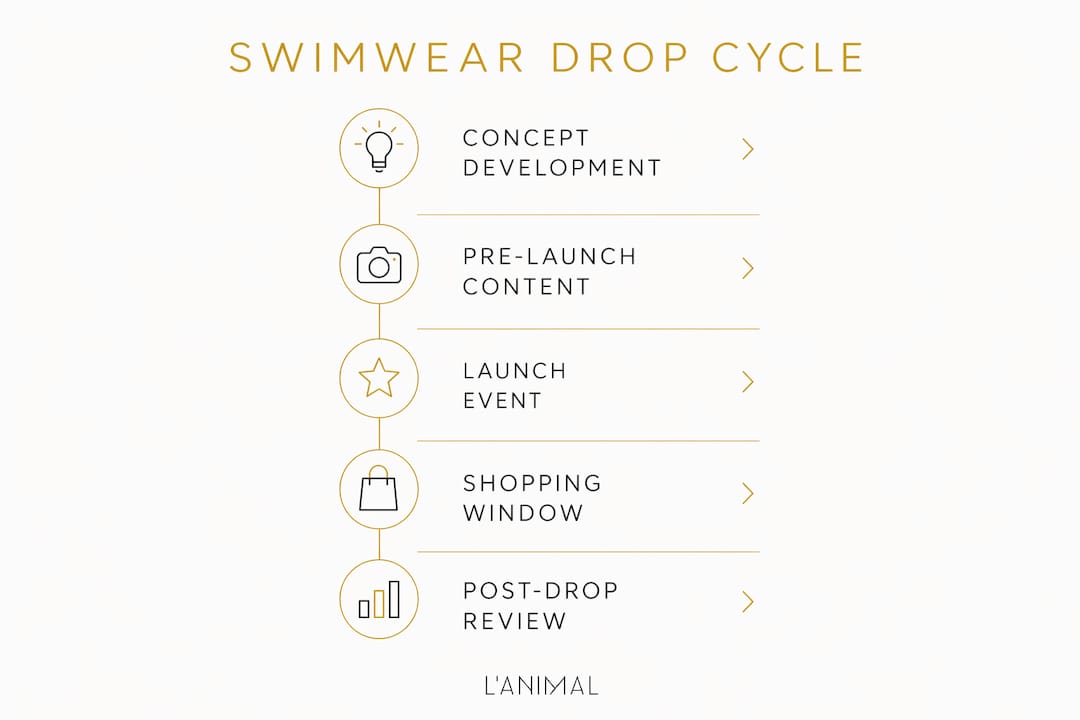 Infographic illustrating swimwear drop cycle steps